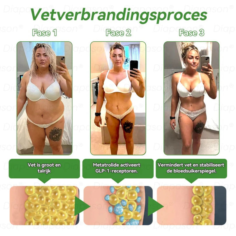 GLP-1™ / 7-in-1 MultiDruppels | Vloeibaar vetverbranding-supplement